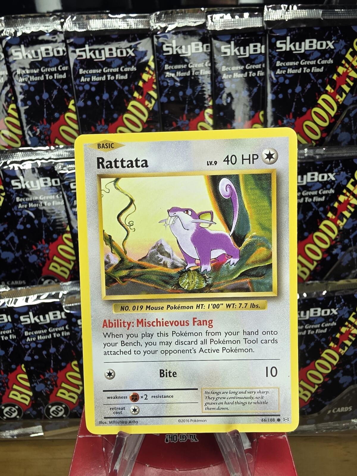 Xy Evolutions Pokemon Rattata Card with Yellow Border and Purple Artwork