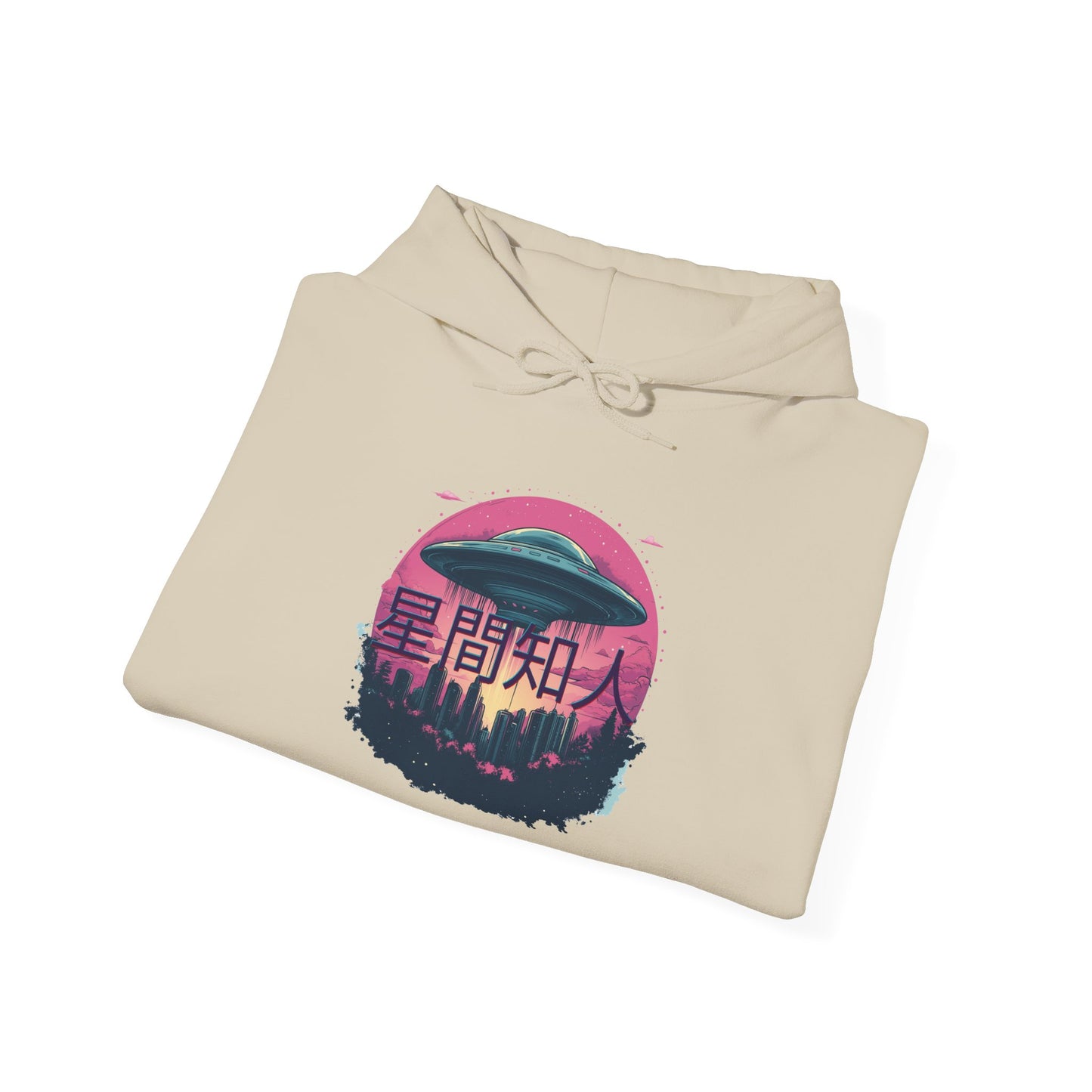 Interstellar Acquaintance Hoodie