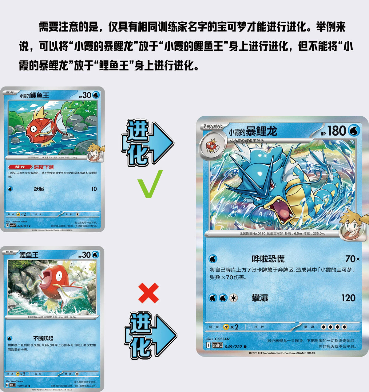 Three Pokémon cards showing evolution mechanics with "小霞的鲤鱼王" and "小霞的暴鲤龙", featuring blue water types and red Magikarp.